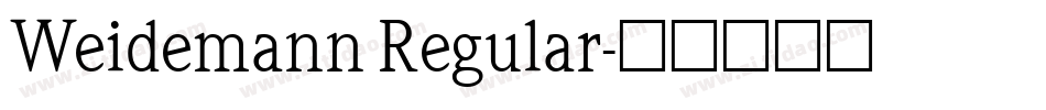 Weidemann Regular字体转换